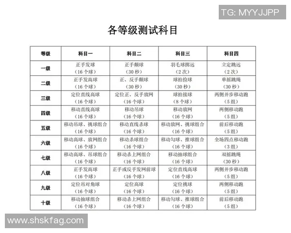 广州羽毛球队的精神与意识探讨：从竞技到文化的深度剖析