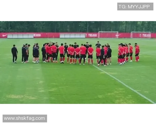 成都网球队速度争议引发热议球迷与专家各抒己见探讨比赛公平性