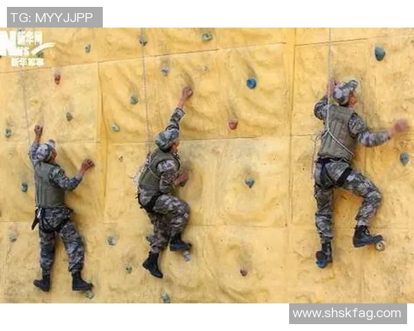 攀岩之巅：深入了解杭州攀岩队员的个人技能与训练秘辛