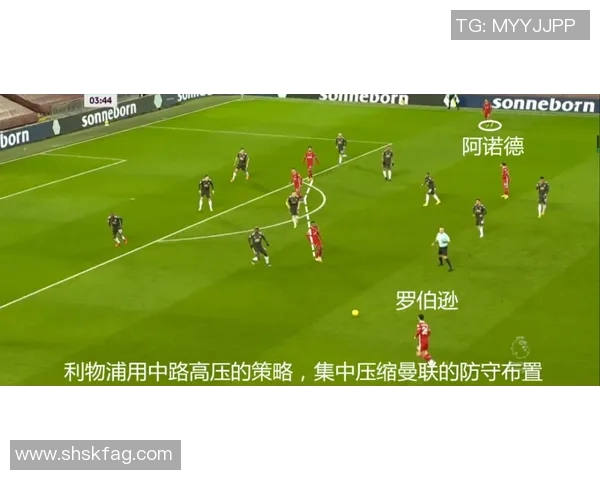 南非与新西兰橄榄球对决精彩回顾与战术分析