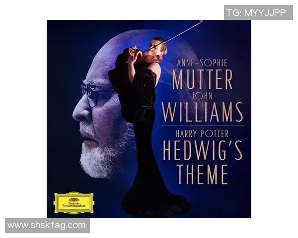 王岚的音乐之路：从初出茅庐到华语乐坛的璀璨星辰