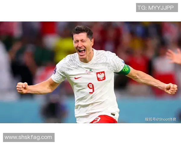 捷克与北爱尔兰足球赛前瞻分析及胜负预测详解 捷克与北爱尔兰足球赛前瞻分析及胜负预测详解