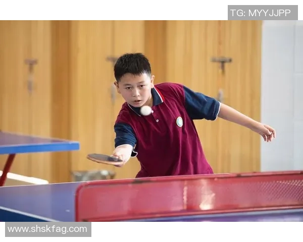 王伟独家分享乒乓球技巧与心得助你提升球技的秘诀与经验